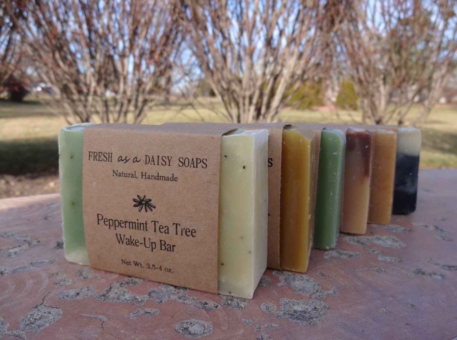 For Him 6 Natural Handmade Soaps or 6 Soaps of Your Choice