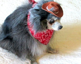 Small Dog's Bandanna and Cowboy Hat Set Pomeranian Yorkie - Red, White & Black Scarf Custom Item Pet Clothes