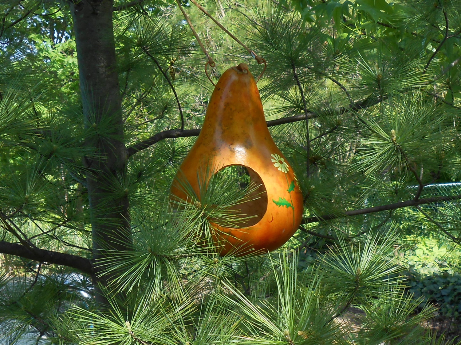 Daisy gourd bird feeder