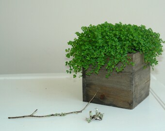 Wood Box Boxes Woodland Planter Flower Rustic Pot Square Vases For Wedding Wooden Wood Box Boxes Woodland Planter Flower Rustic Pot Square Vases For Wedding Wooden