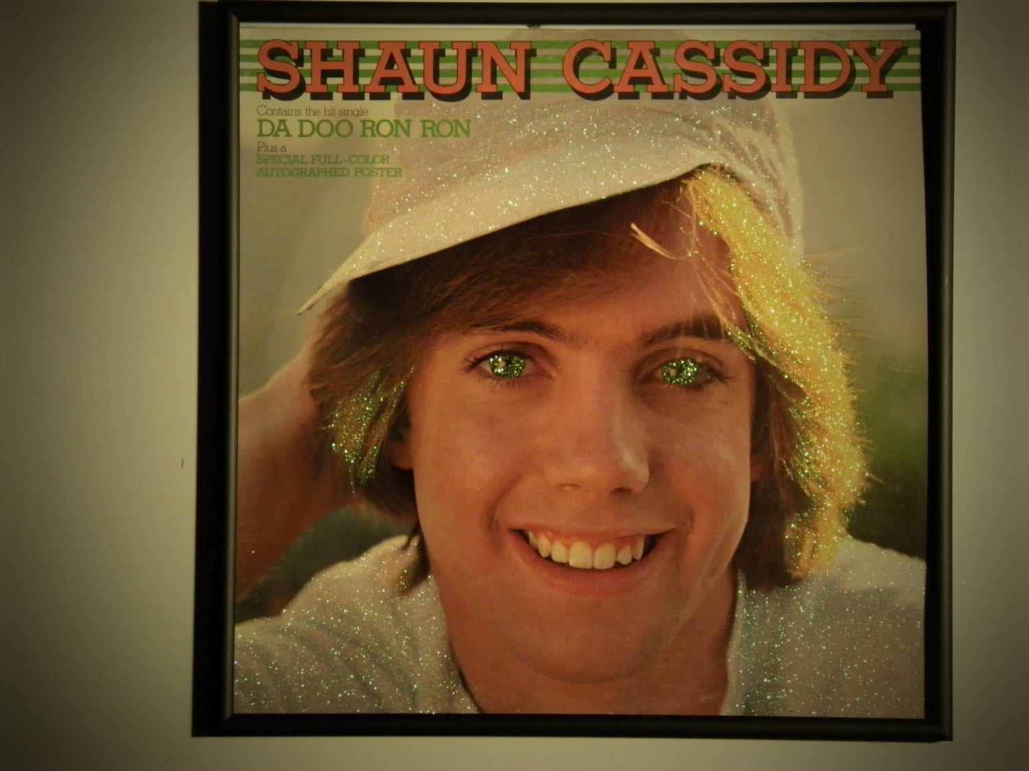 Glittered Record Album Shaun Cassidy Da Doo Ron Ron