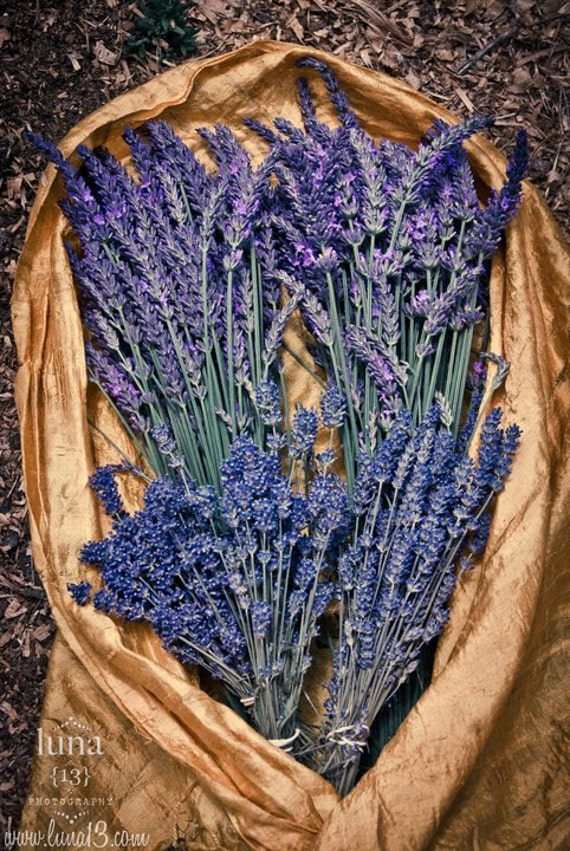 Dried Lavender Bundle