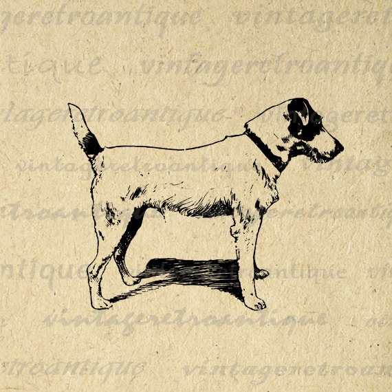 Animal Artwork – Vintage Retro Antique