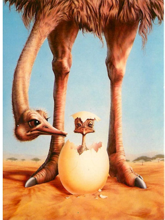 Items similar to Vintage OSTRICH ART POSTCARD, Chick and ...