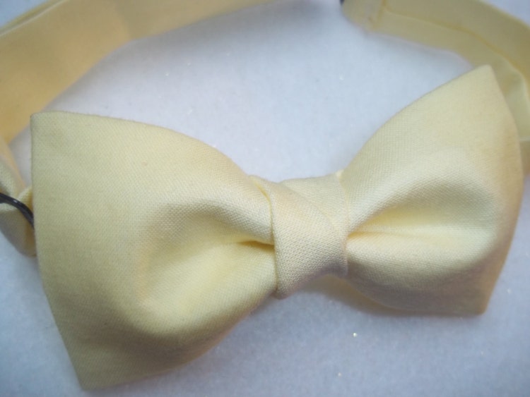 Pale Yellow Bow TieBow TieBow Tie for by DragonflyBowTies