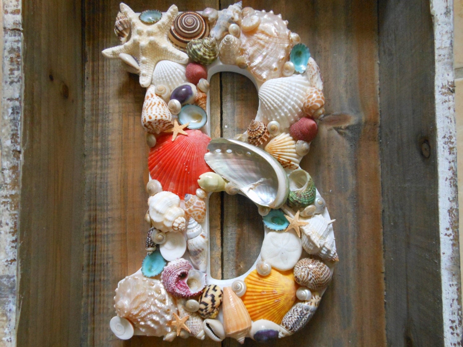 DIY Home Decor Using Shells - Design Garnish