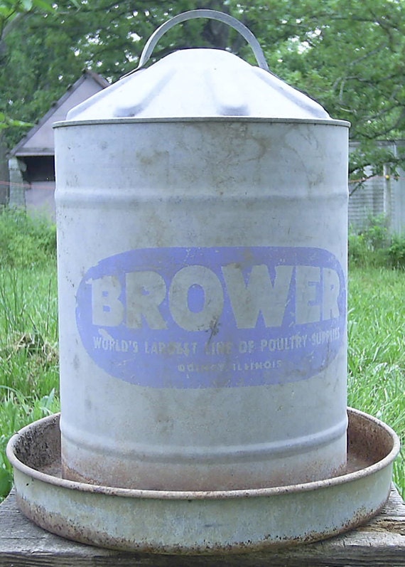 Wonderful Rusty Galvanized Chicken Water Font Rusty Metal