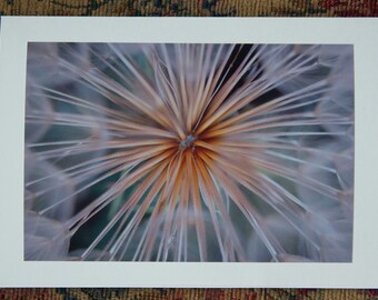 Weed Greeting Card Etsy