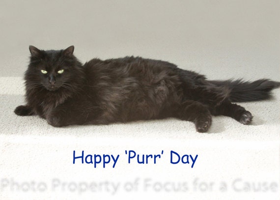 Items similar to Black Cat Birthday Card on Etsy