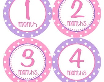 Monthly Milestone Stickers Baby Month Stickers Girl Pink Purple Bodysuit Stickers Monthly Girl Stickers Baby Shower Gift Photo Prop -Laila