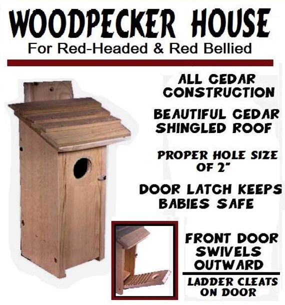 ark-workshop-red-headed-red-bellied-woodpecker-cedar-house