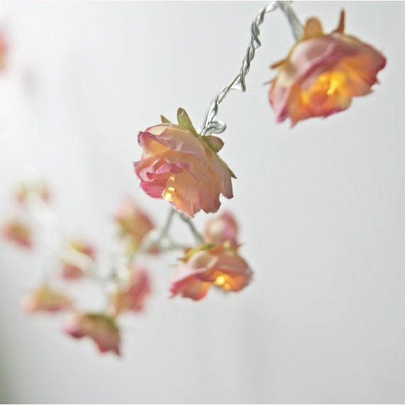 Rhubarb and Custard Longer Shabby Rose Fairy Lights by PamelaAngus