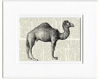 camel III dictionary page print