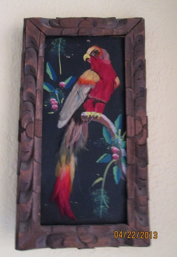 Vintage Parrot Feather Art / Real Feathers Painting / Carved