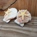 Starfish Hair Barrette - Scallop Seashells - Natural Shells - Handmade Hair Accessory - French Barrette