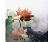 Peach lotus photomontage digital art print Spring grey charcoal peach floral fantasy wall art Peach lotus photomontage digital art print Spring grey charcoal peach floral fantasy wall art