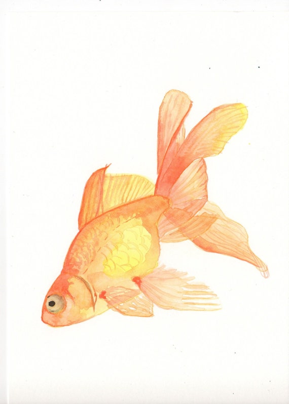 Original watercolor Painting Goldfish 2 by MilkFoam on Etsy