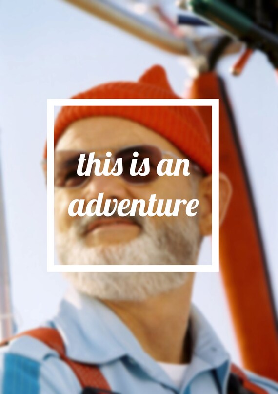 The Life Aquatic with Steve Zissou Quote Poster