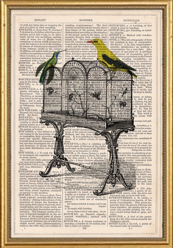 Items similar to BIRD CAGE exotic humming bird dictionary art print