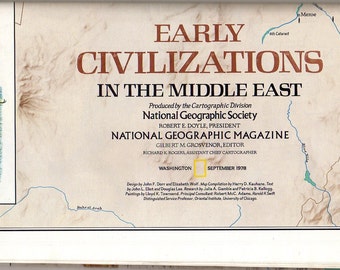 t blouse übergrößen herren