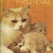 VINTAGE KIDS BOOK Cats Little Tigers In Your House