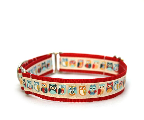 3/4" dog collar Summer of Owls martingale or buckle collar