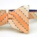 orange & royal blue freestyle bow tie