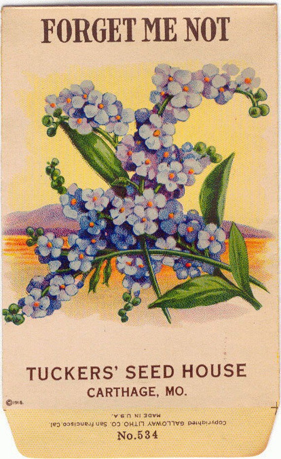 FORGET ME NOT Vintage Flower Seed Packet Tuckers Seed House