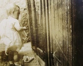 Vintage Photo - Child at the Chicken Coop