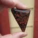 Mexican Poppy Jasper