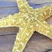 Shimmery Natural Sugar Starfish Barrette - Mermaid Hair