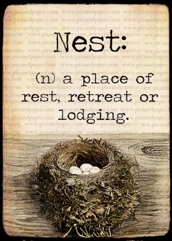 Items similar to Vintage Bird's Nest with Definition Digital Collage