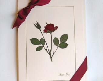Rose Card Set, Dried Pressed Flowers on Pink Cards, Romantic Gift For Her, Real Flowers on Blank Greeting Cards