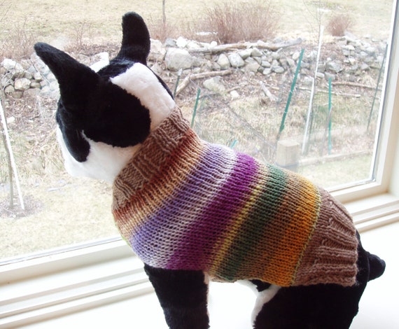 Dog Sweater Hand Knit Boston Terrier Noro Merino Wool 13