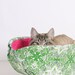 Cat Canoe a Modern Cat Bed in Watermelon