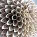 Paper flower, Book Pages Wreath, Upcycled, Giant Paper Flower, Shabby Chic Wreath