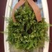 Spring Wreath Summer Wreath Grapevine Boxwood Fern and Burlap Door Wreath Decor