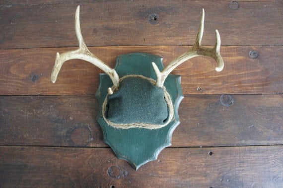 Vintage Deer Antler Mount with Green Military Wool Unique Taxidermy Woodland Wall Art