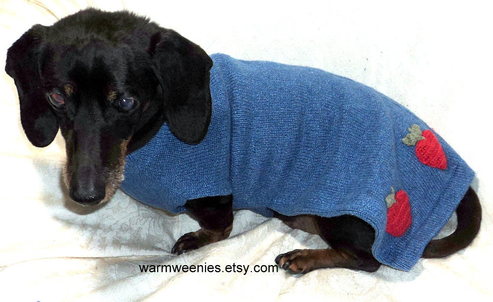Dachshund sweater jumper handmade pets clothing cotton blend