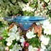 GARDEN MARKER, Butterfly Feeder, stained glass, copper, Aqua Plum, Garden stake, Home decor
