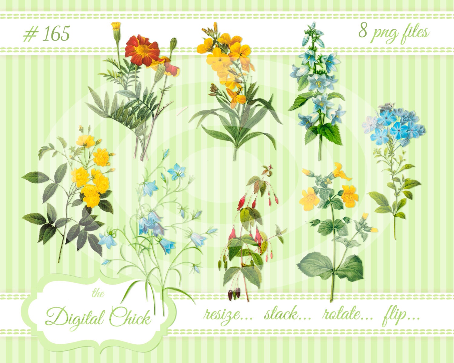 Digital clipart instant download Vintage Flower Images