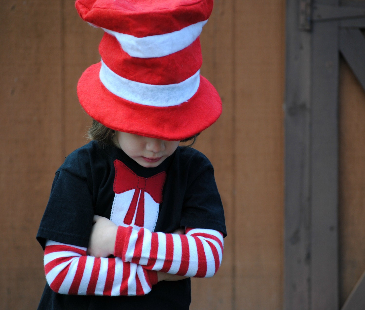 Cat in the Hat kids tshirt