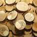 Wood Supplies 50 Spalted Oak Slices. Button and Bead blanks. Supplies for all your Crafts and Projects. Oak flowers.