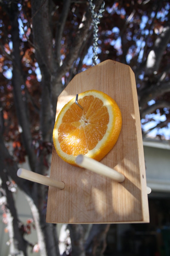 Items similar to Oriole Orange Bird Feeder on Etsy