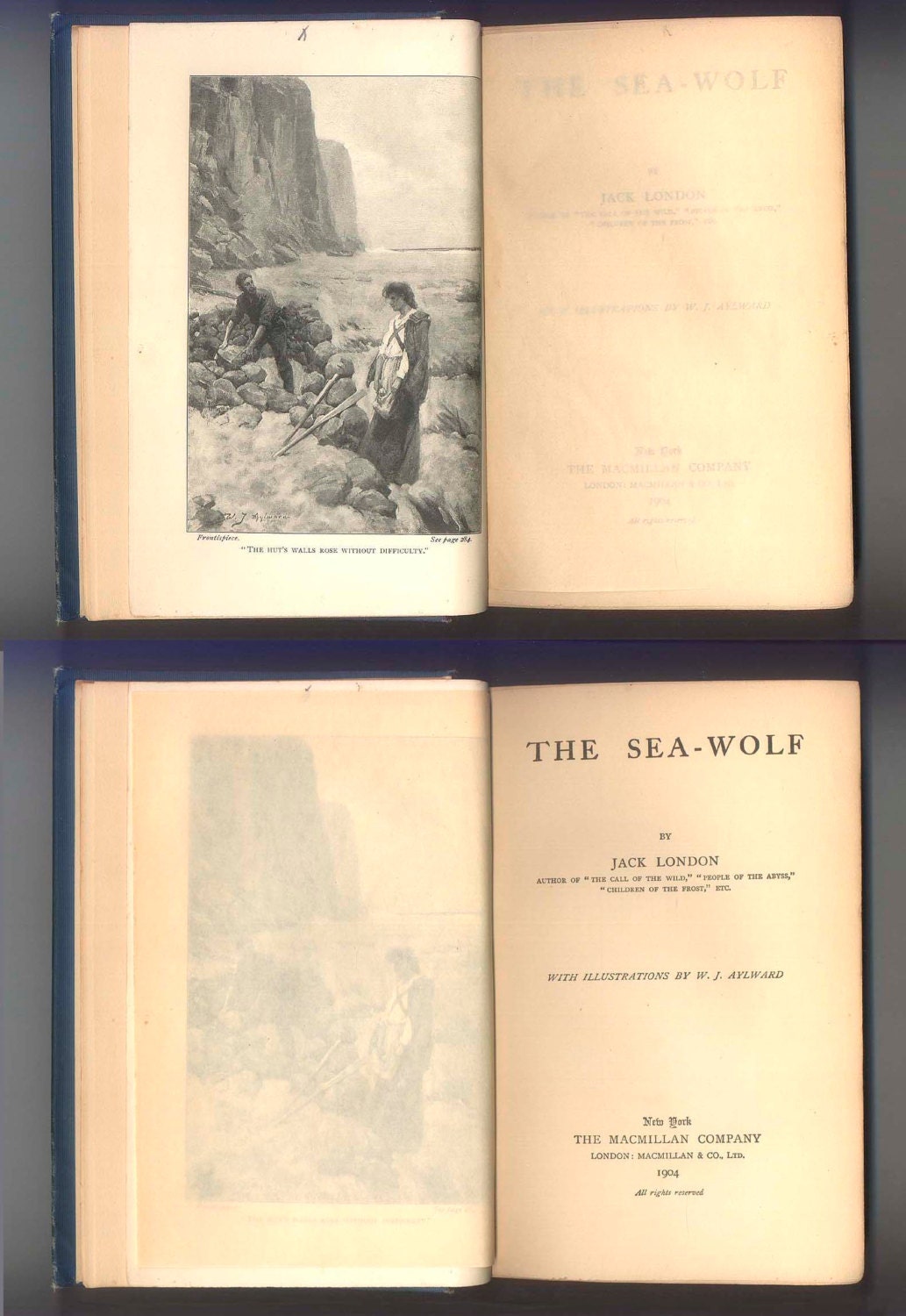 the sea wolf by jack london
