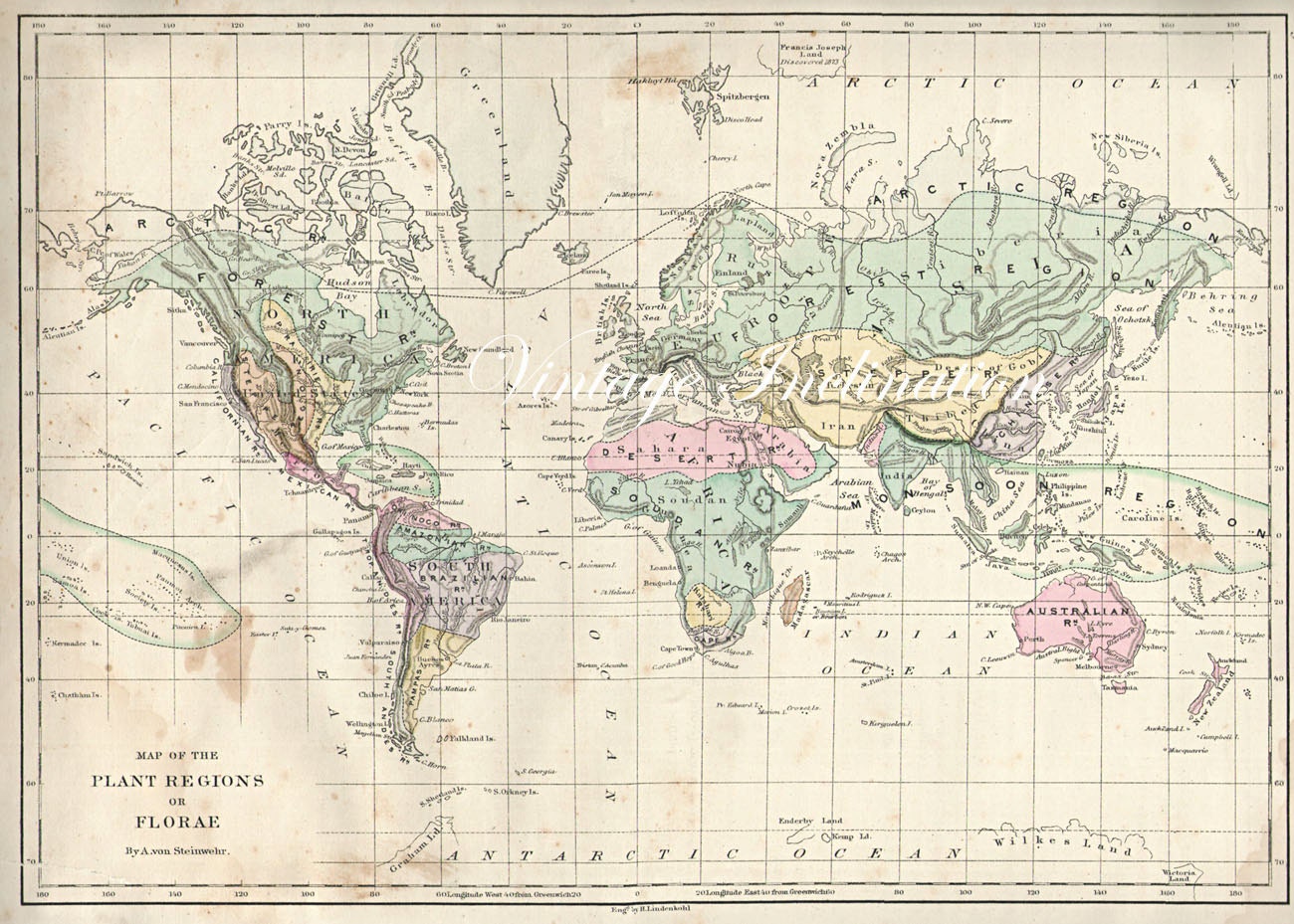 1873 Antique WORLD Map of the World 1800s atlas plant flora