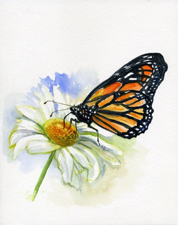 Monarch Butterfly on a daisy Original watercolor painting