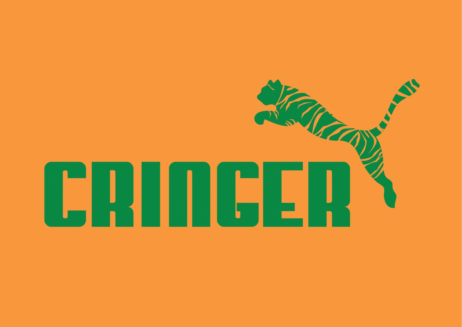 cringer masters of the universe