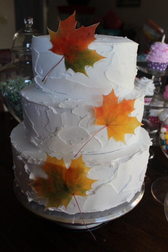 Edible Cake Topper 6 Large Autumn Leaves Edible Cake Topper 6 Large Autumn Leaves