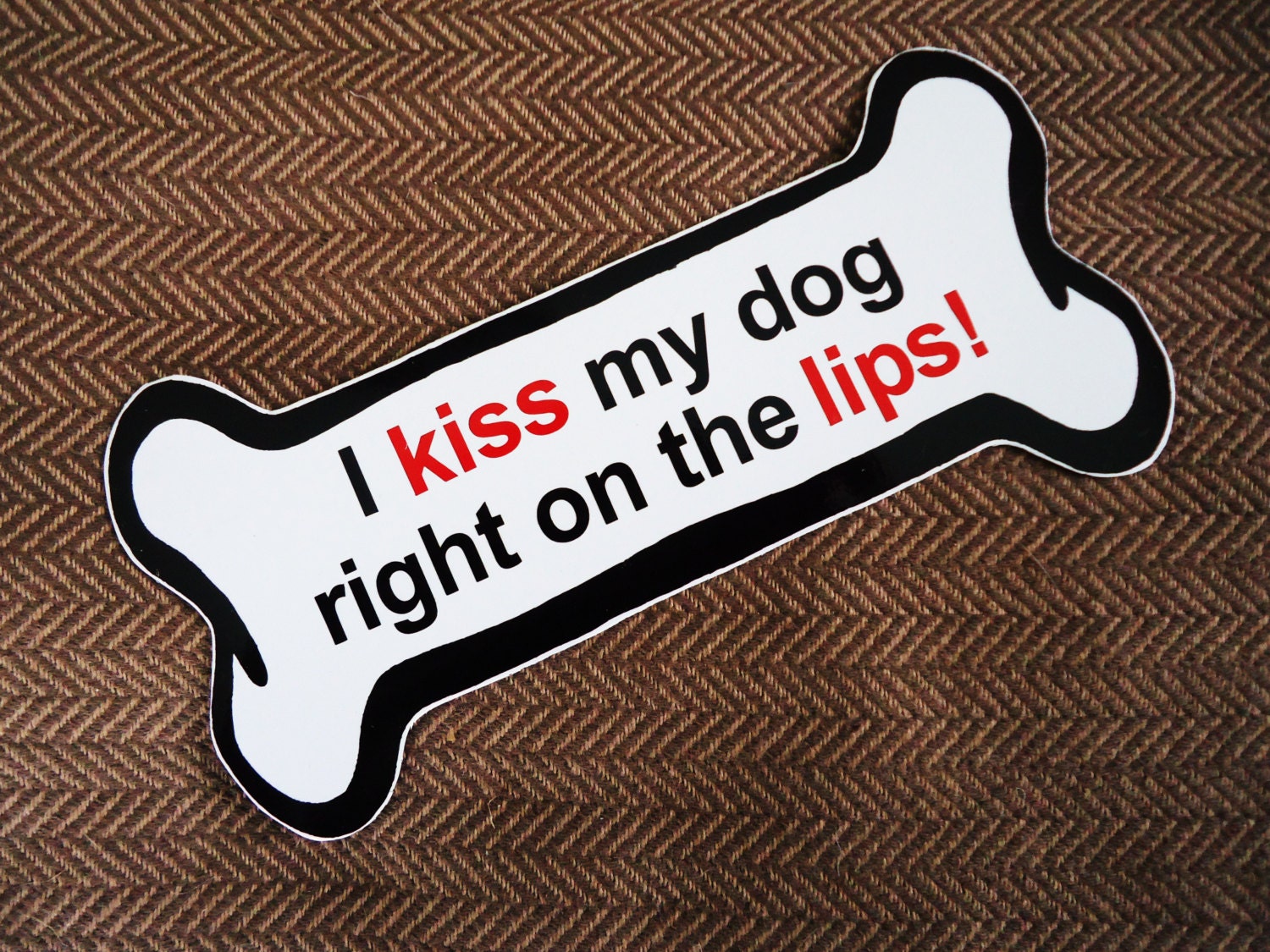 I kiss my dog on the lips